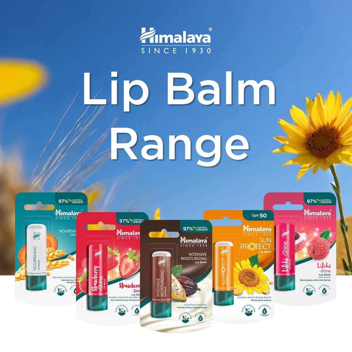 Himalaya Sun Protect Lip balm (SPF 50), 4.5 g-4