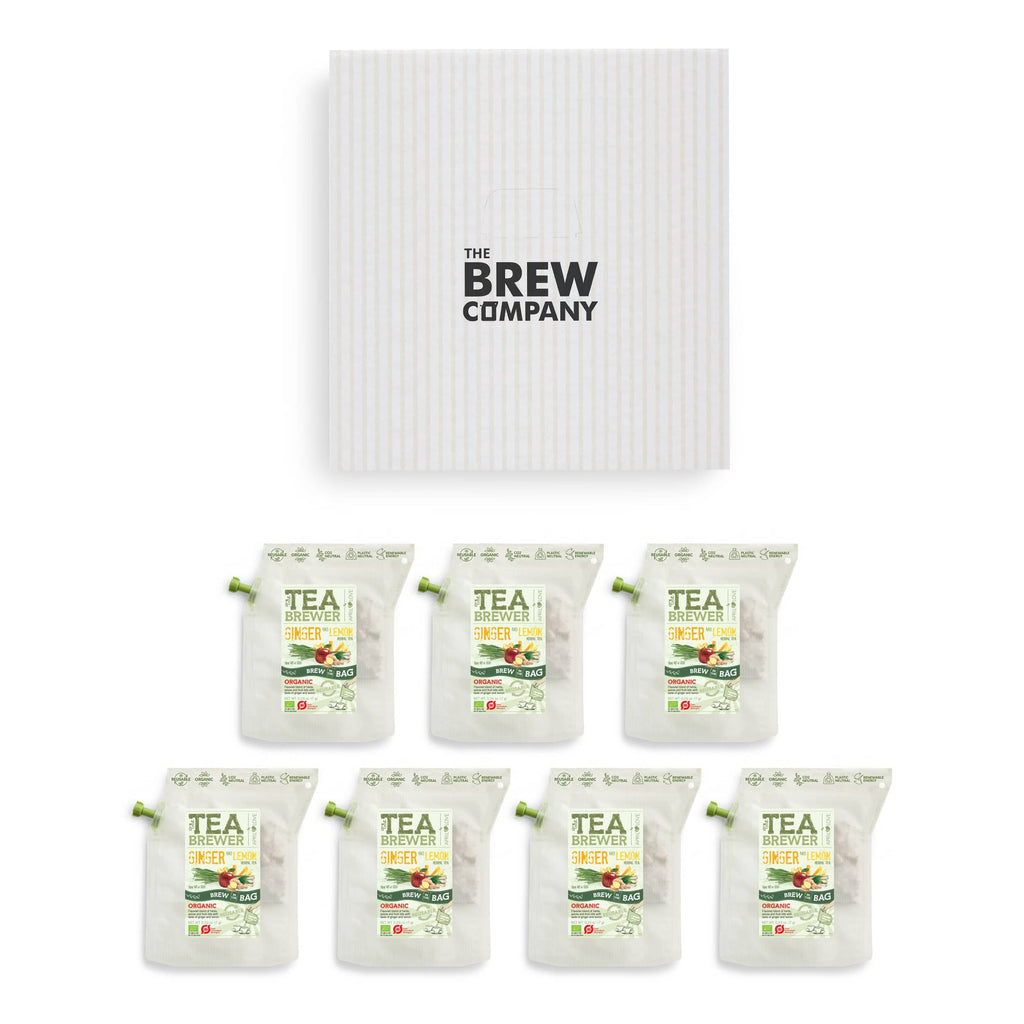 Ginger & Lemon Teabrewer-3