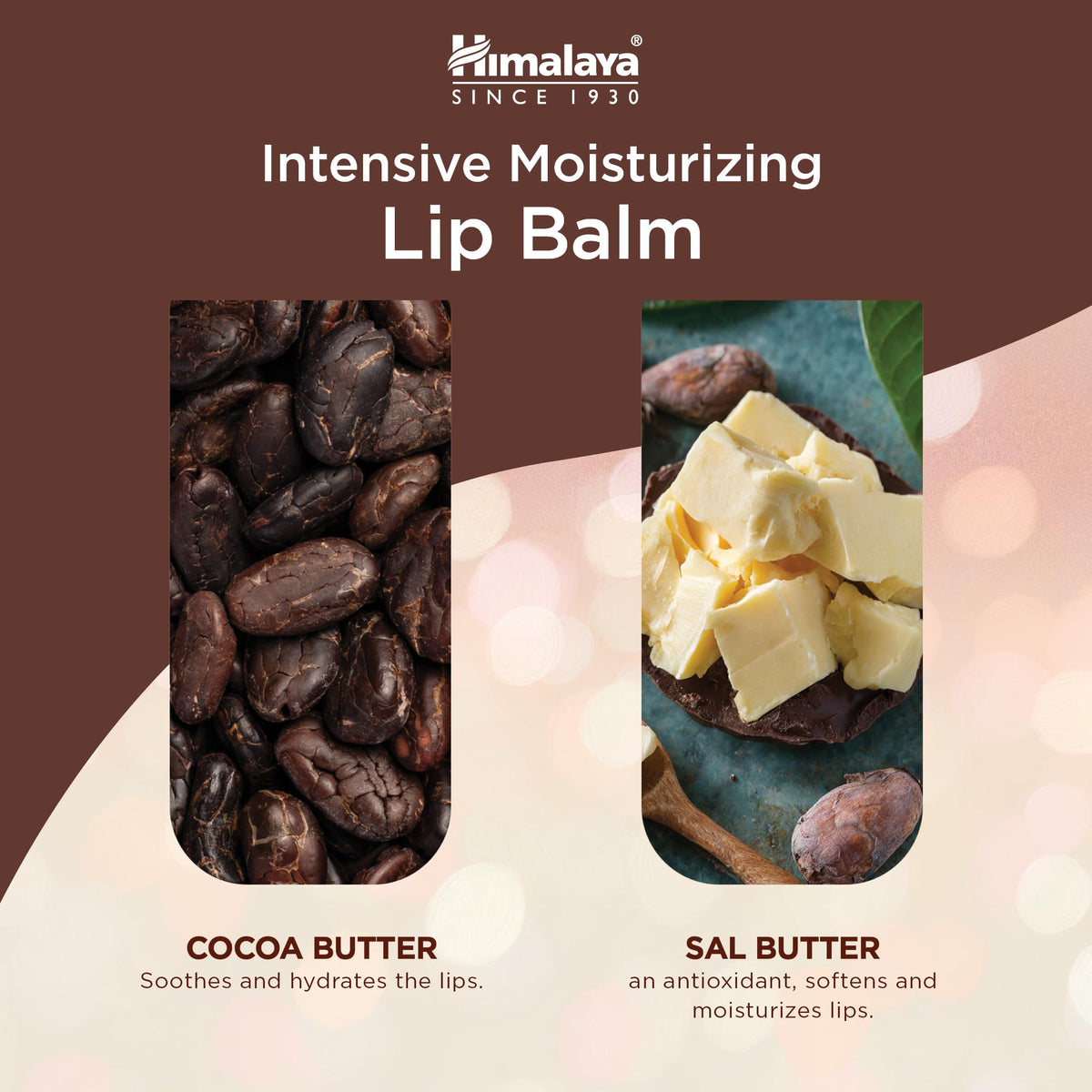 Himalaya Intensive Moisturizing Cocoa Butter Lip Balm - 4.5 g-3